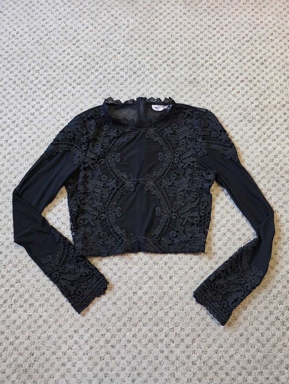 Root & Willow Black Sheer Lace Cropped Long-Sleeve Top - Women